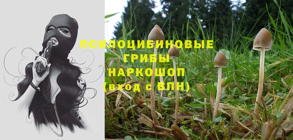 бошки Куйбышев